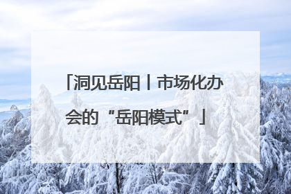 洞见岳阳丨市场化办会的“岳阳模式”